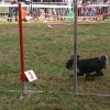foire-haricots 2011-09-17et18
